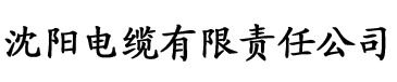 丁香色欲久久久久久綜合網电缆厂logo